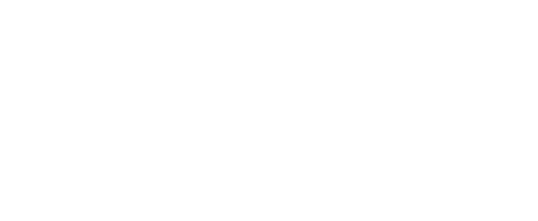 Vanguard Properties